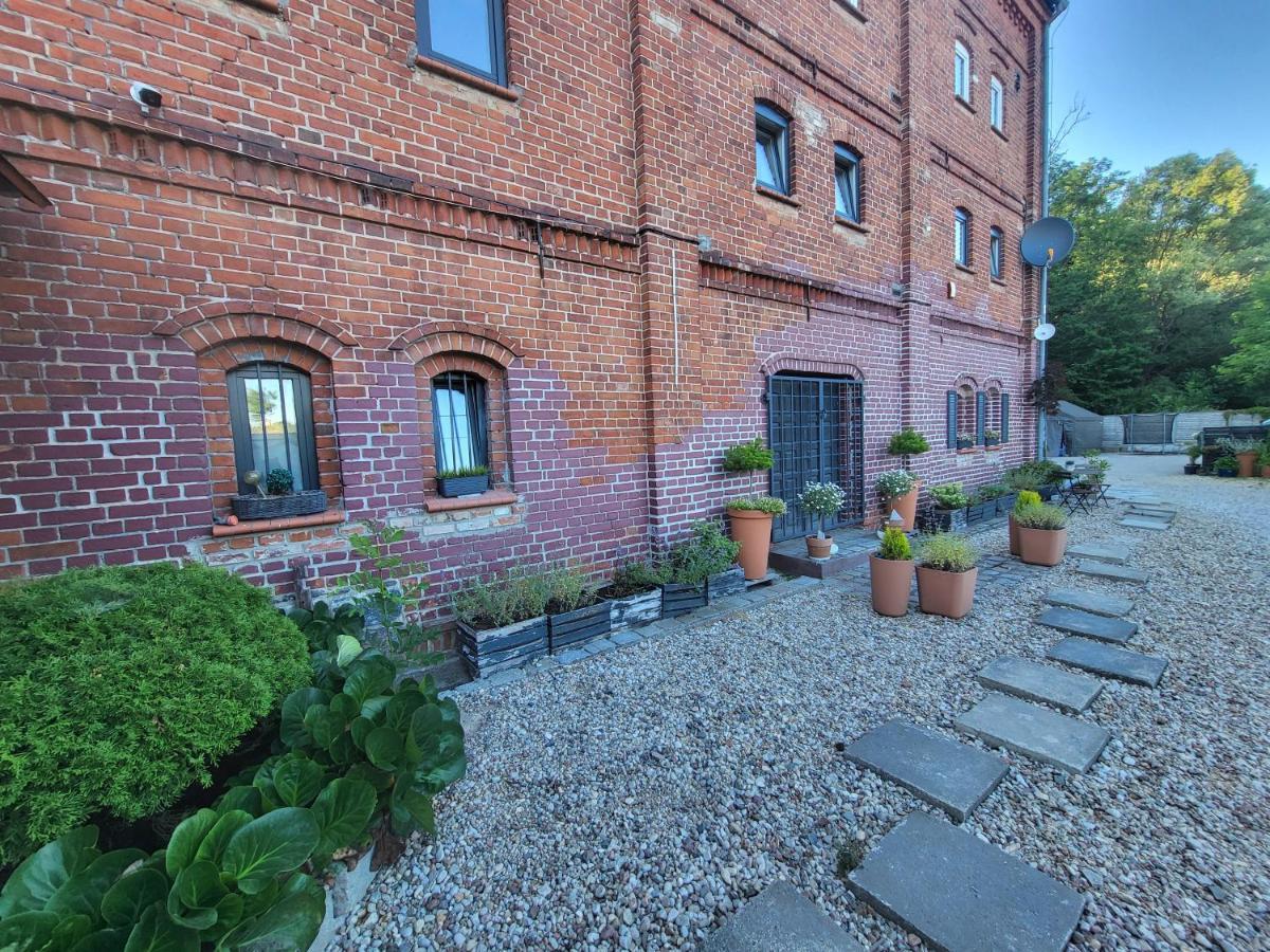 Krzywa Apartamenty Lidzbark Warmiński Extérieur photo